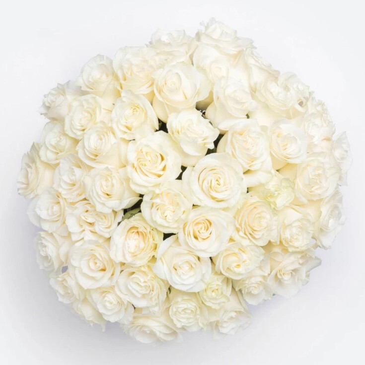 Top view of 50 Premium White Mondial Roses in the Grand Josephine bouquet.