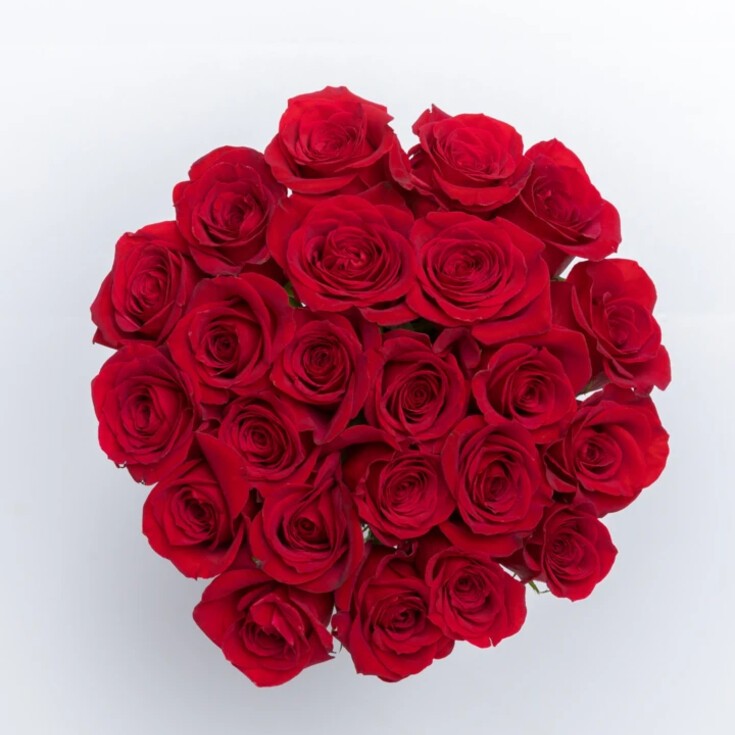Amour is 24-stem bouquet with deep red Freedom roses and eucalyptus.
