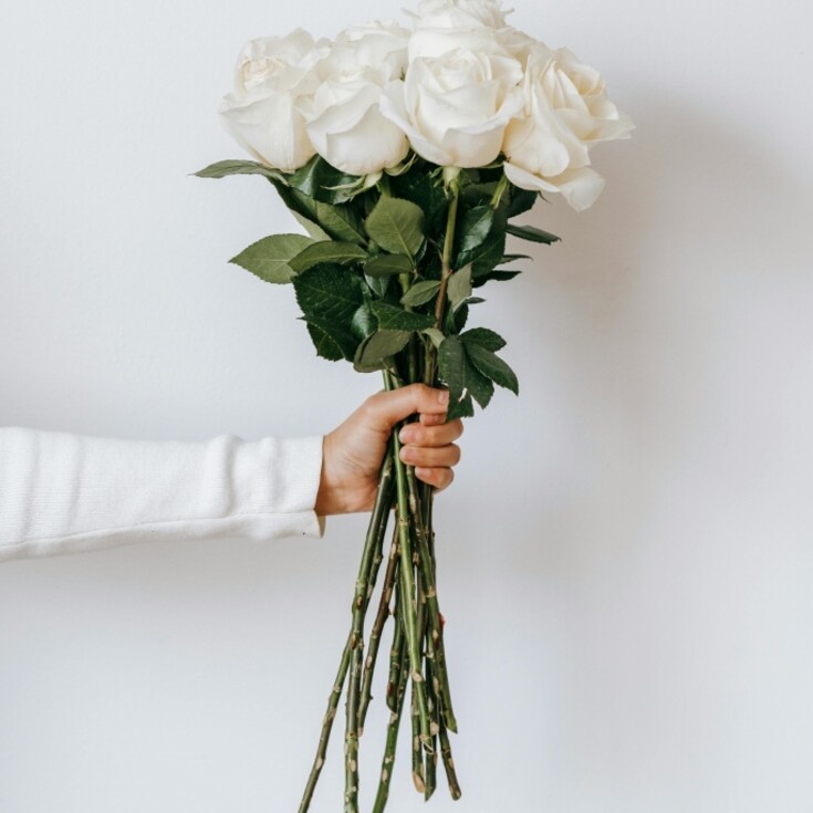 Best flower gift for Capricorn are white roses.