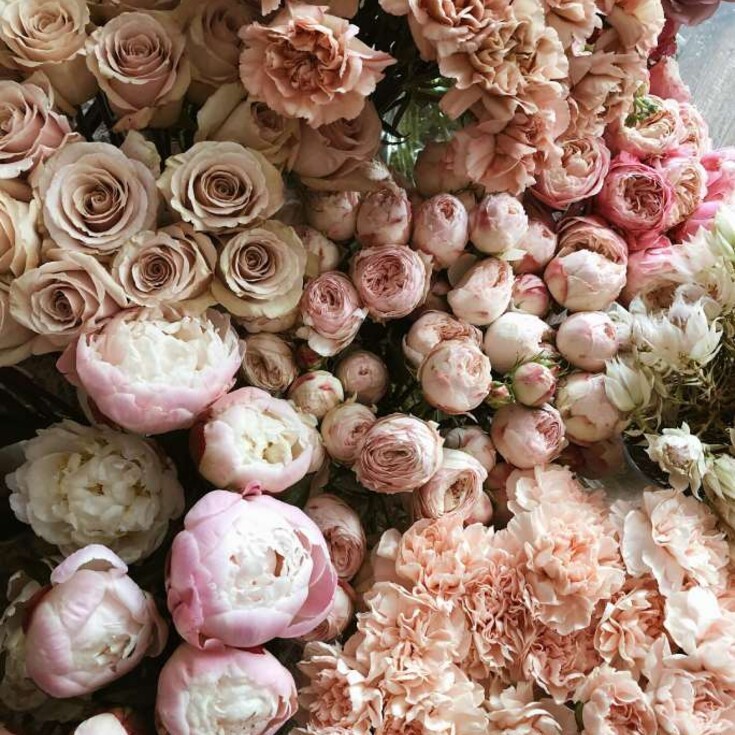 Favorite flowers for Taurus Zodiac sign.
