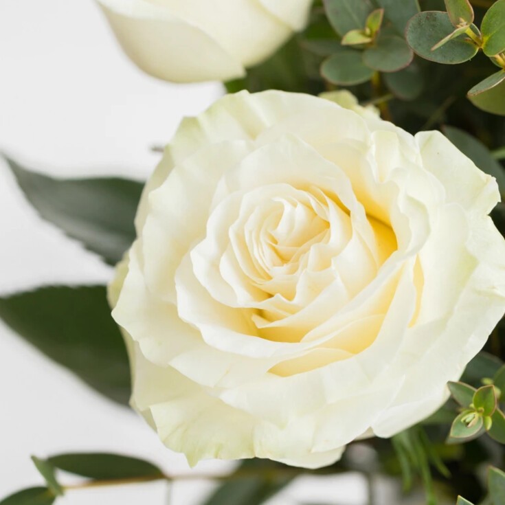 Detail of a White Mondial rose from the Josephine bouquet.