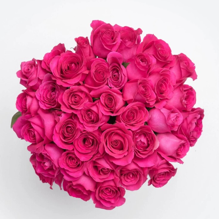 Top of 50  hot pink Pink Floyd roses, tightly arranged, ideal for romantic dates.