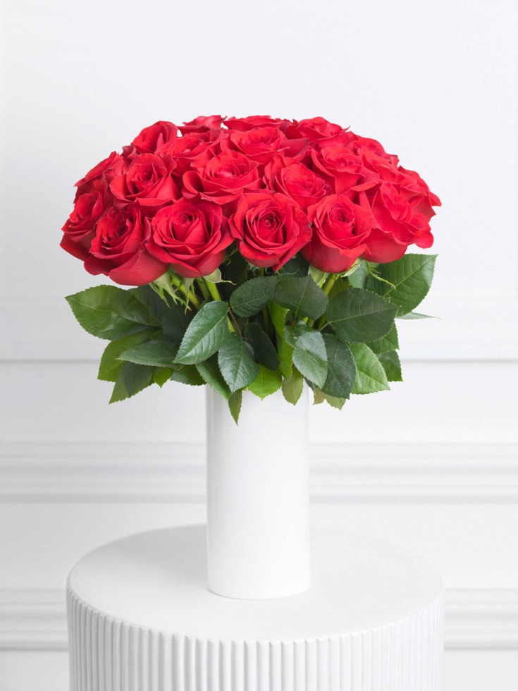 Chicago Red Roses, Red Rose Delivery