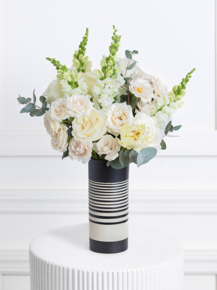 Deal of the Day - by Capitol Hill Florist, Gifts & Flower Delivery