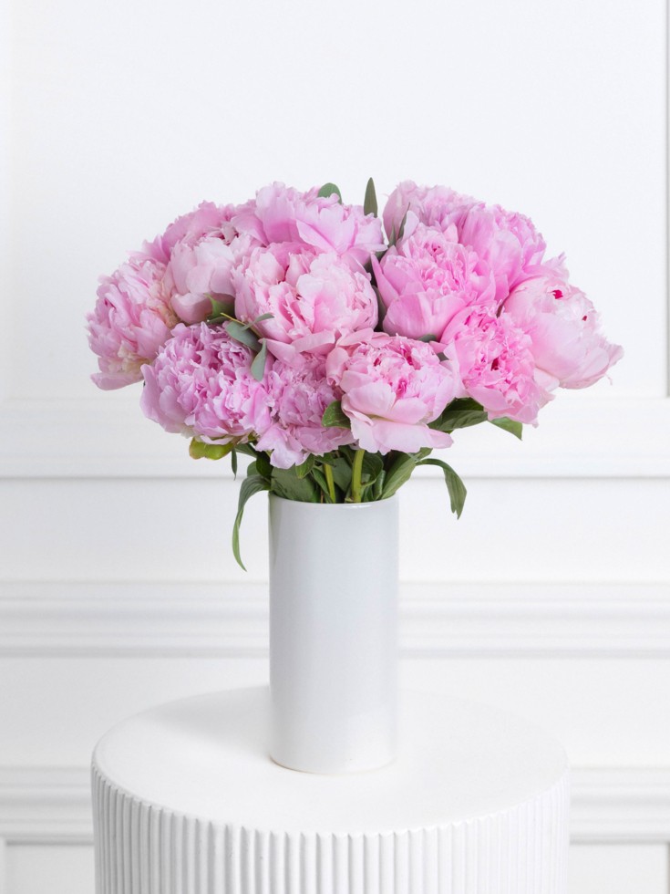 Same Day Peony Flower Delivery