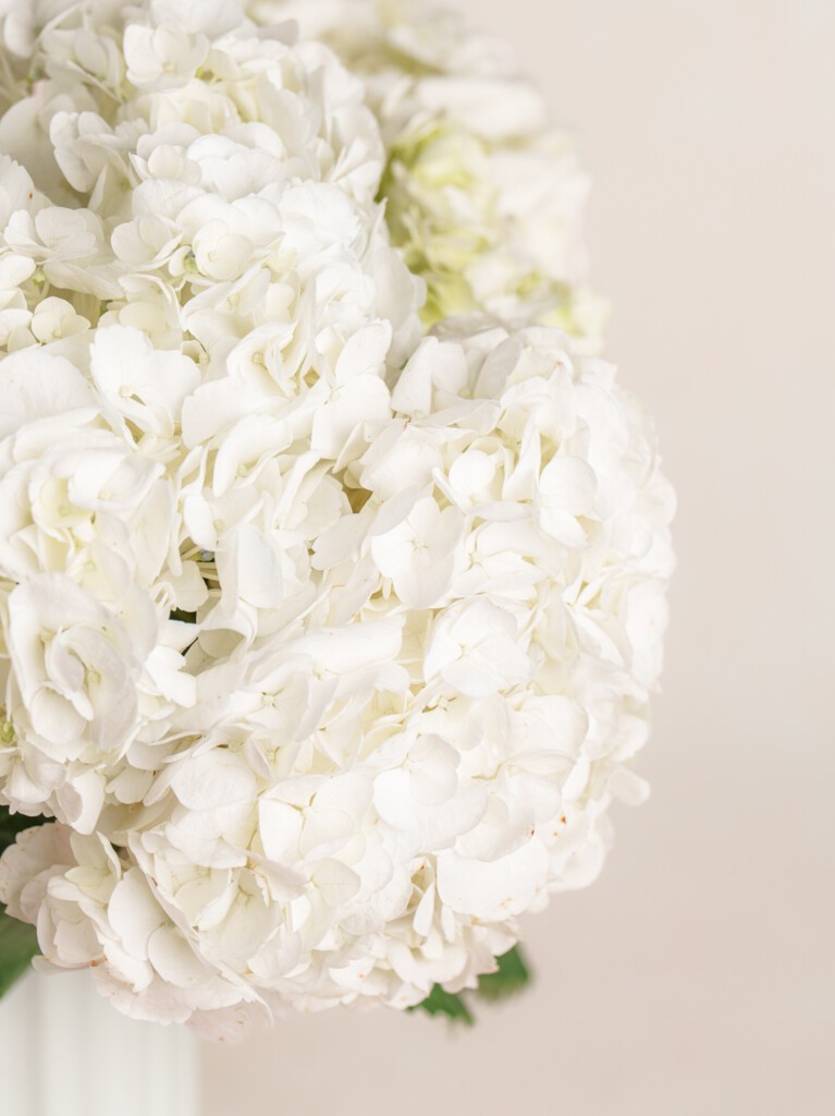 Blanche