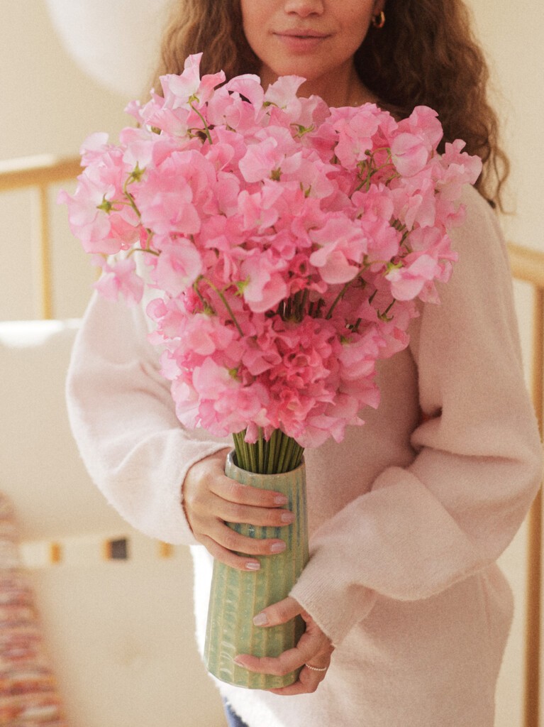 Pink japanese sweet pea