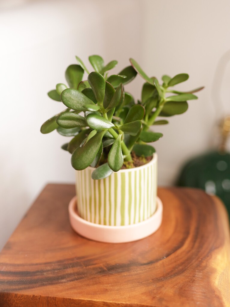 Jade