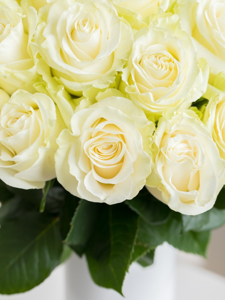 White with Pink Edge Rose Bouquet Wrapped With Black Paper