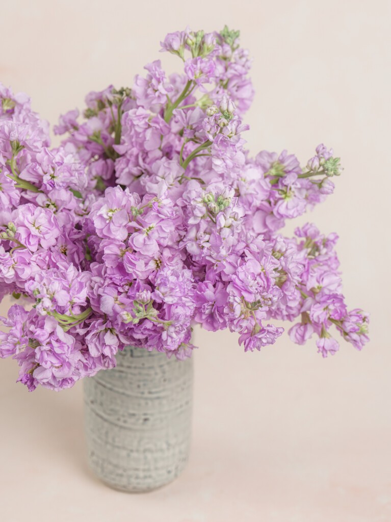 Violette