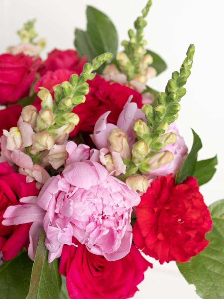 Close-up image of pink peonies, red carnations, ruby roses, and blush snapdragons, accented by green foliage.
