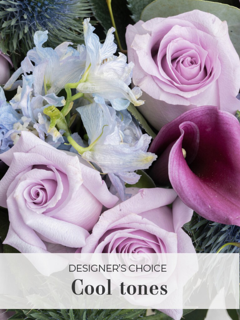 Cool Tones