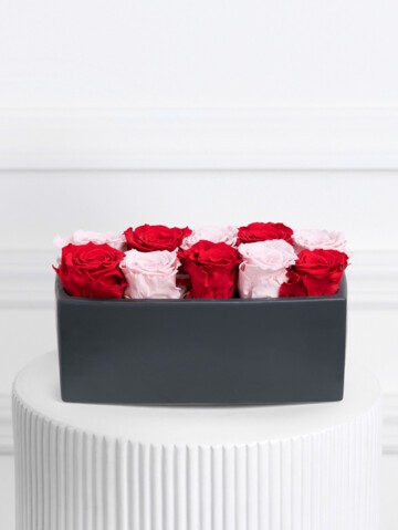 elodie 9 roses