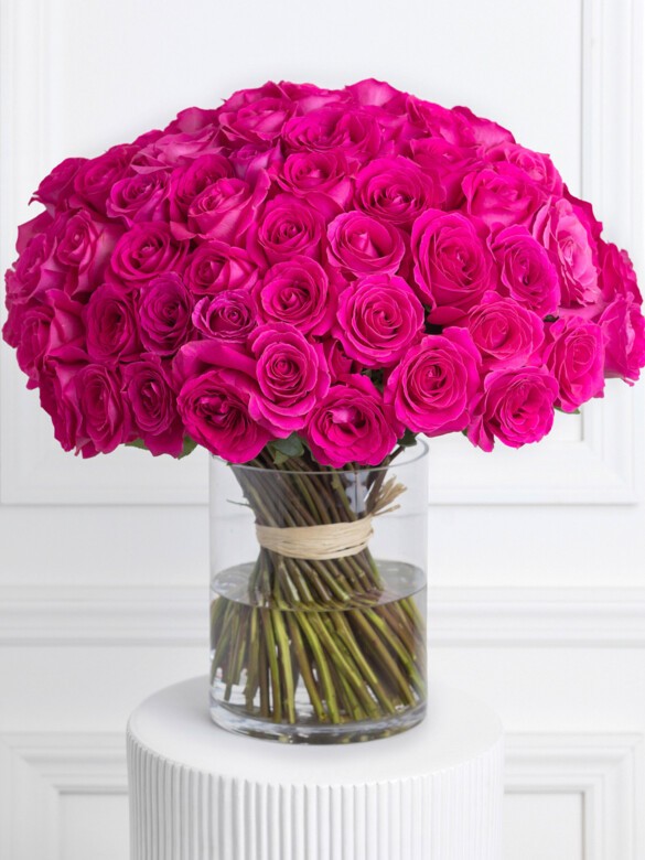 Premium 75-stem bouquet of hot pink Pink Floyd roses in a round glass vase, perfect for grand romantic gestures or special celebrations.