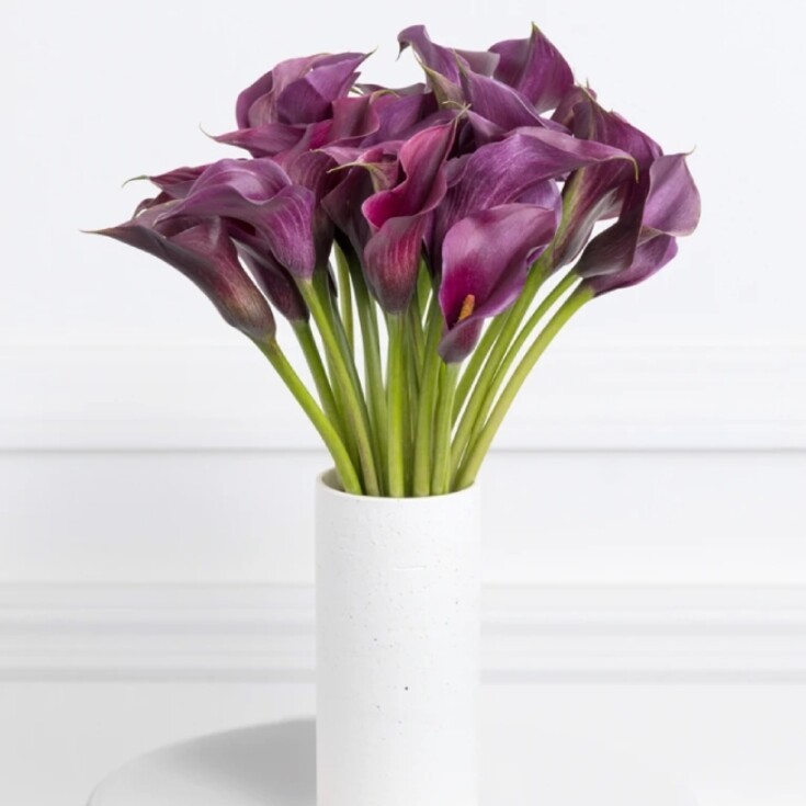 Calla lilies bring elegance with a quiet edge, a perfect for gift for Scorpio.