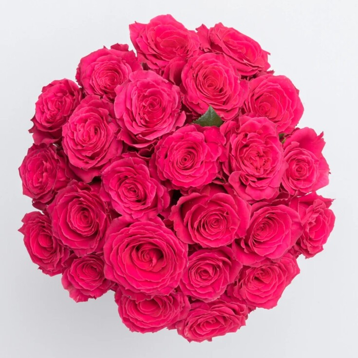 Top view of 24 lush Pink Floyd roses in full bloom.