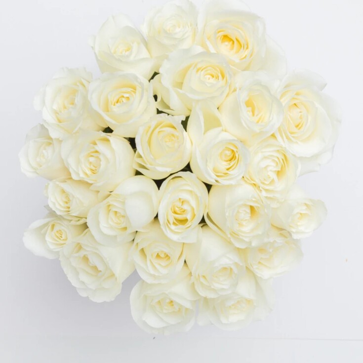 24 White Mondial roses in a luxury arrangement.