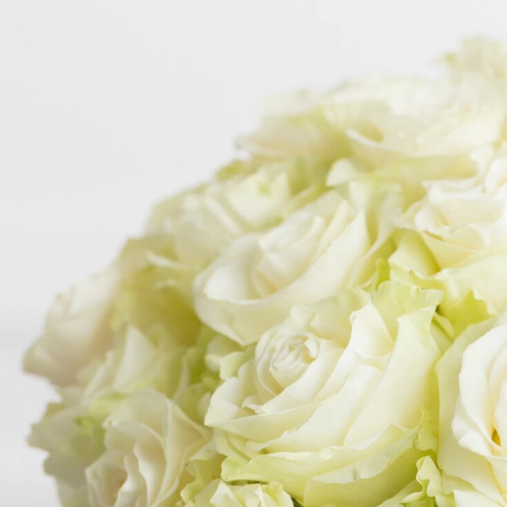 Close-up of Premium White Mondial Roses showcasing the luxurious quality of the 100-stem Grand bouquet.
