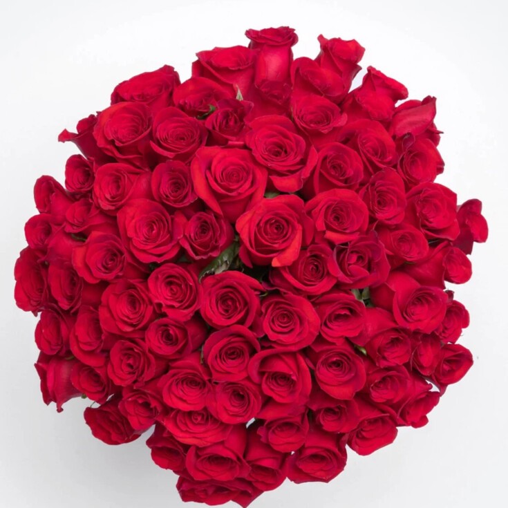 Grand Amour with 100 red Freedom roses in a glass vase, perfect for anniversary, proposal, or big romantic gesture. Vase included.