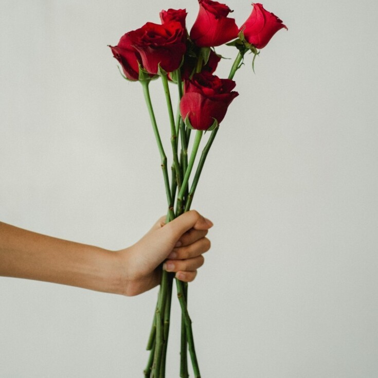 If one flower could capture the energy of Scorpio, it would be the dark red rose.