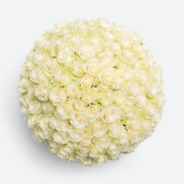 A lavish bouquet of 100 Premium White Mondial Roses arranged in a wide glass vase.