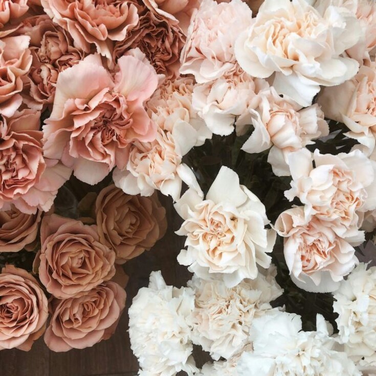 Libras love flowers in gentle peach shades.