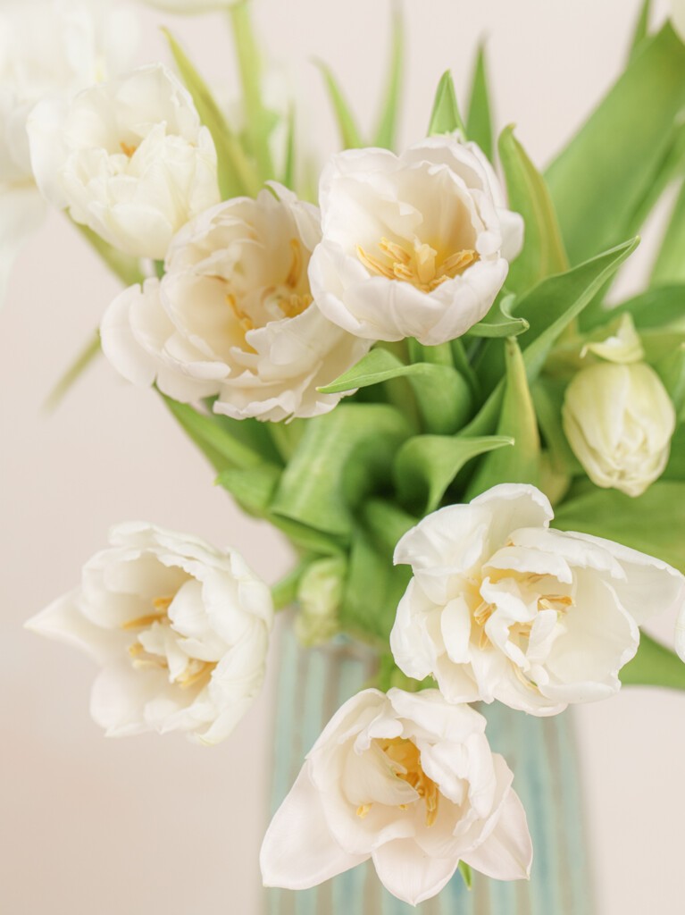 Perle