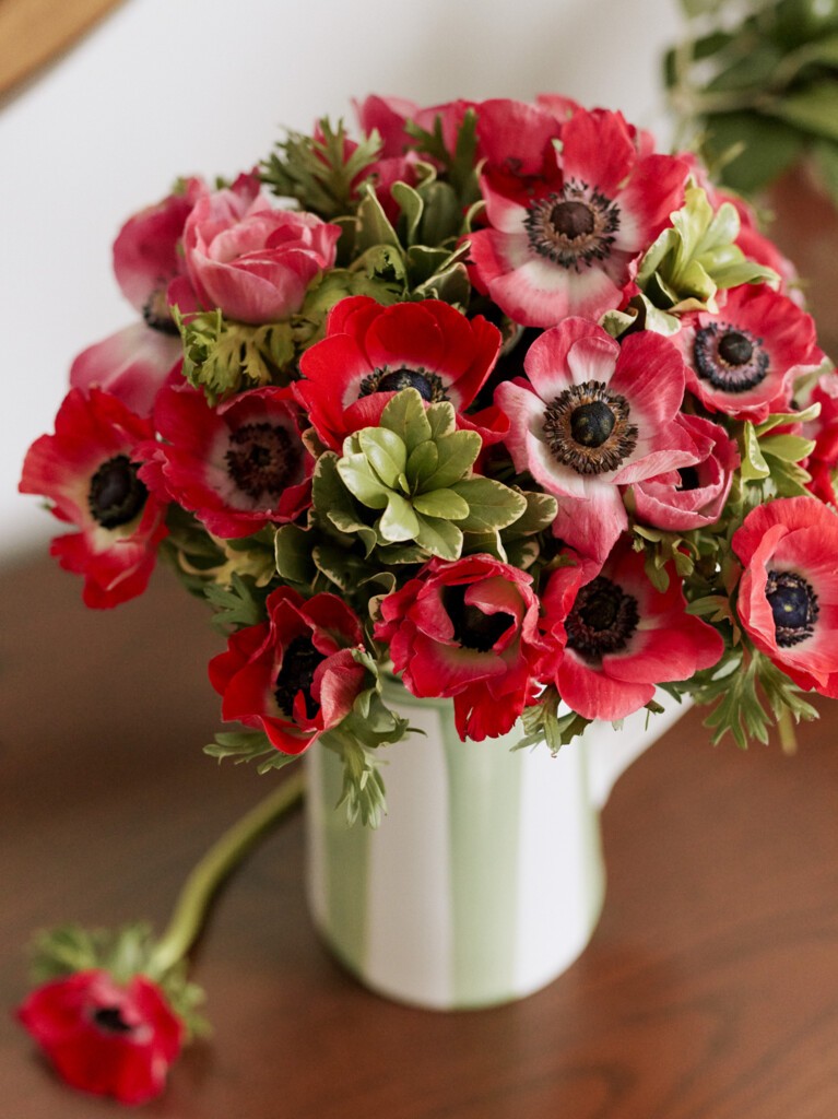 Anemone