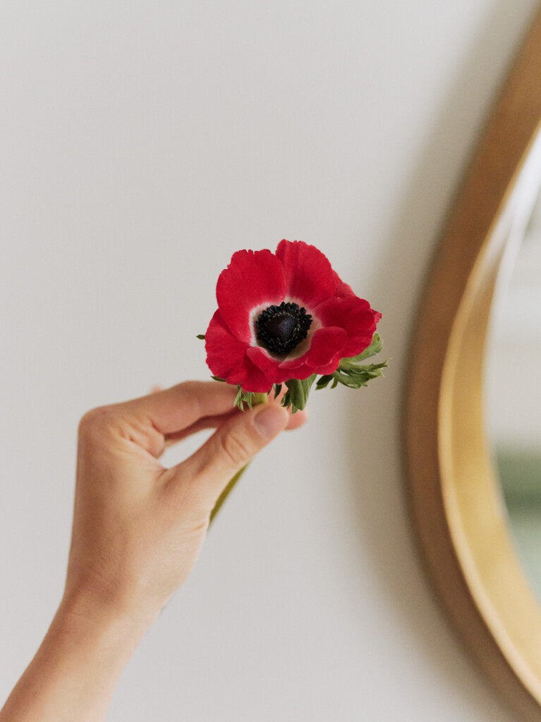 Anemone